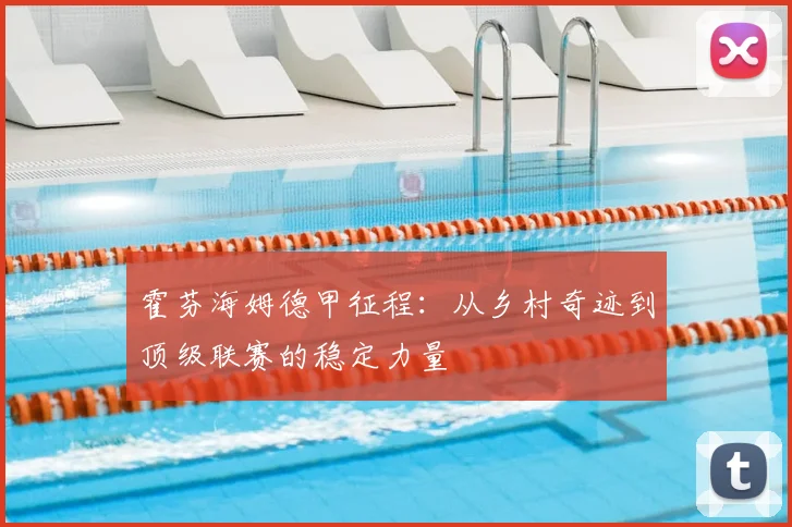 霍芬海姆德甲征程:从乡村奇迹到顶级联赛的稳定力量
