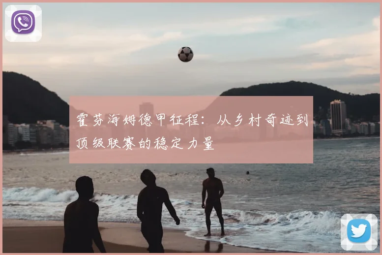 霍芬海姆德甲征程:从乡村奇迹到顶级联赛的稳定力量
